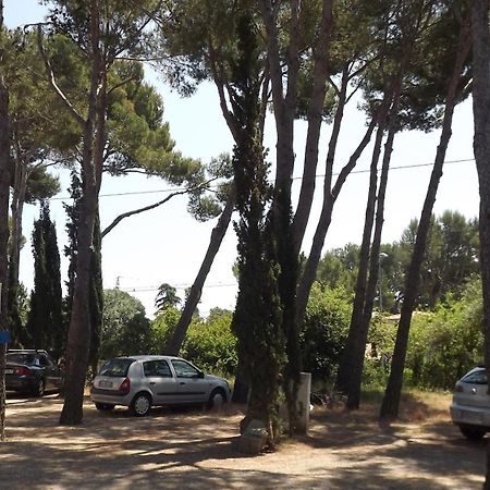 Rvapartaments Treumal Park Platja d'Aro Exterior foto