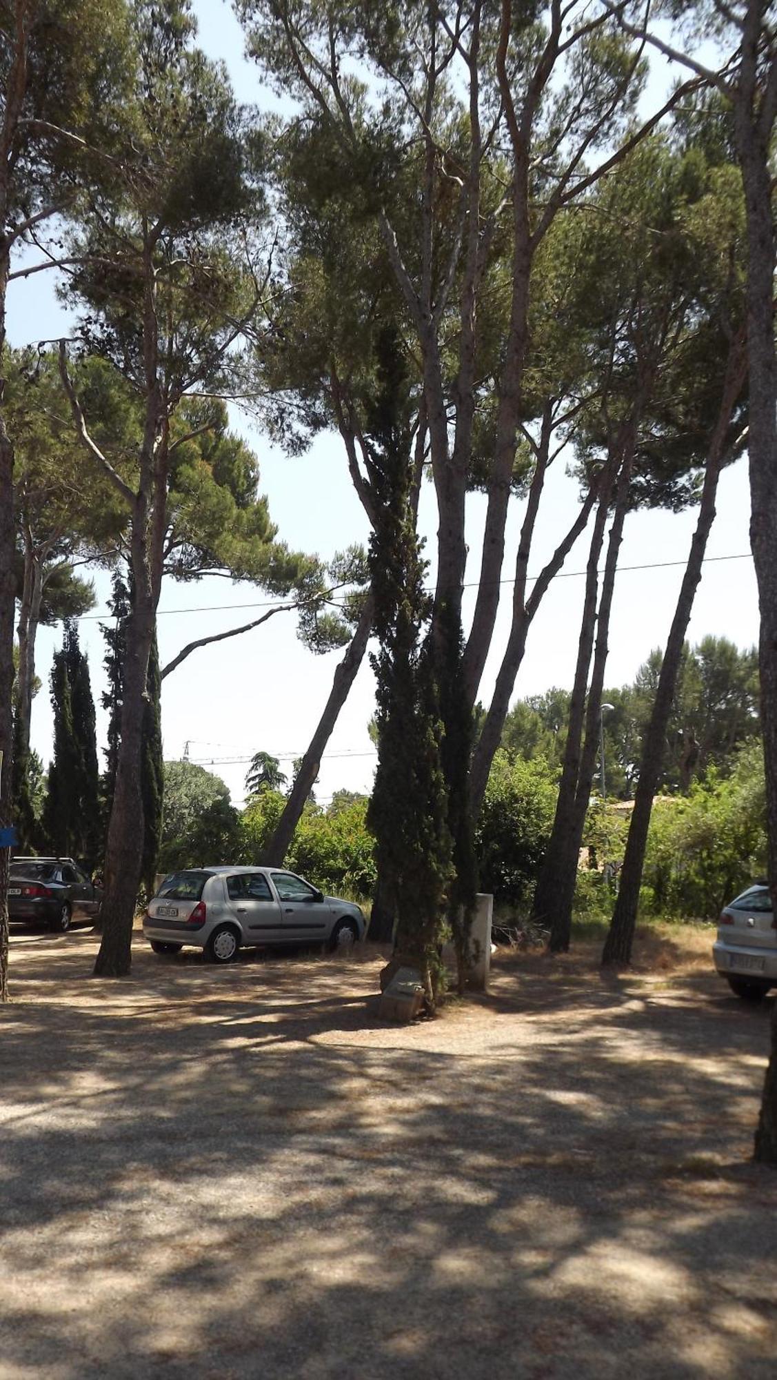 Rvapartaments Treumal Park Platja d'Aro Exterior foto